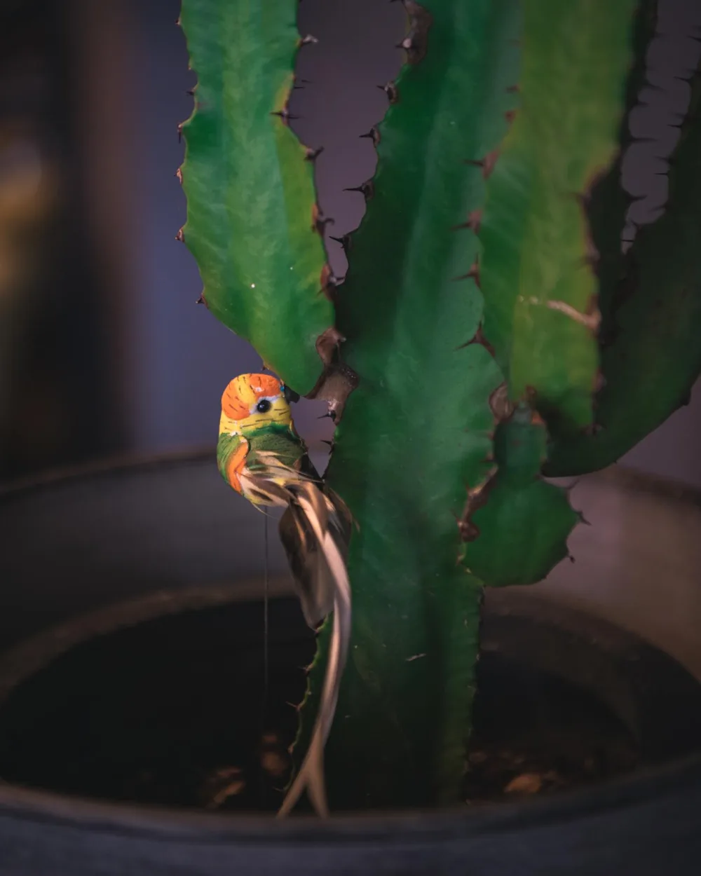 Petit oiseau de décoration posé sur un cactus, dans la salle du restaurant
